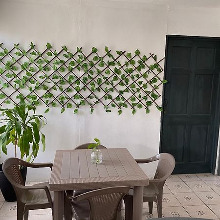 Anluka-House2 With Air Conditioning Puerto Jiménez エクステリア 写真