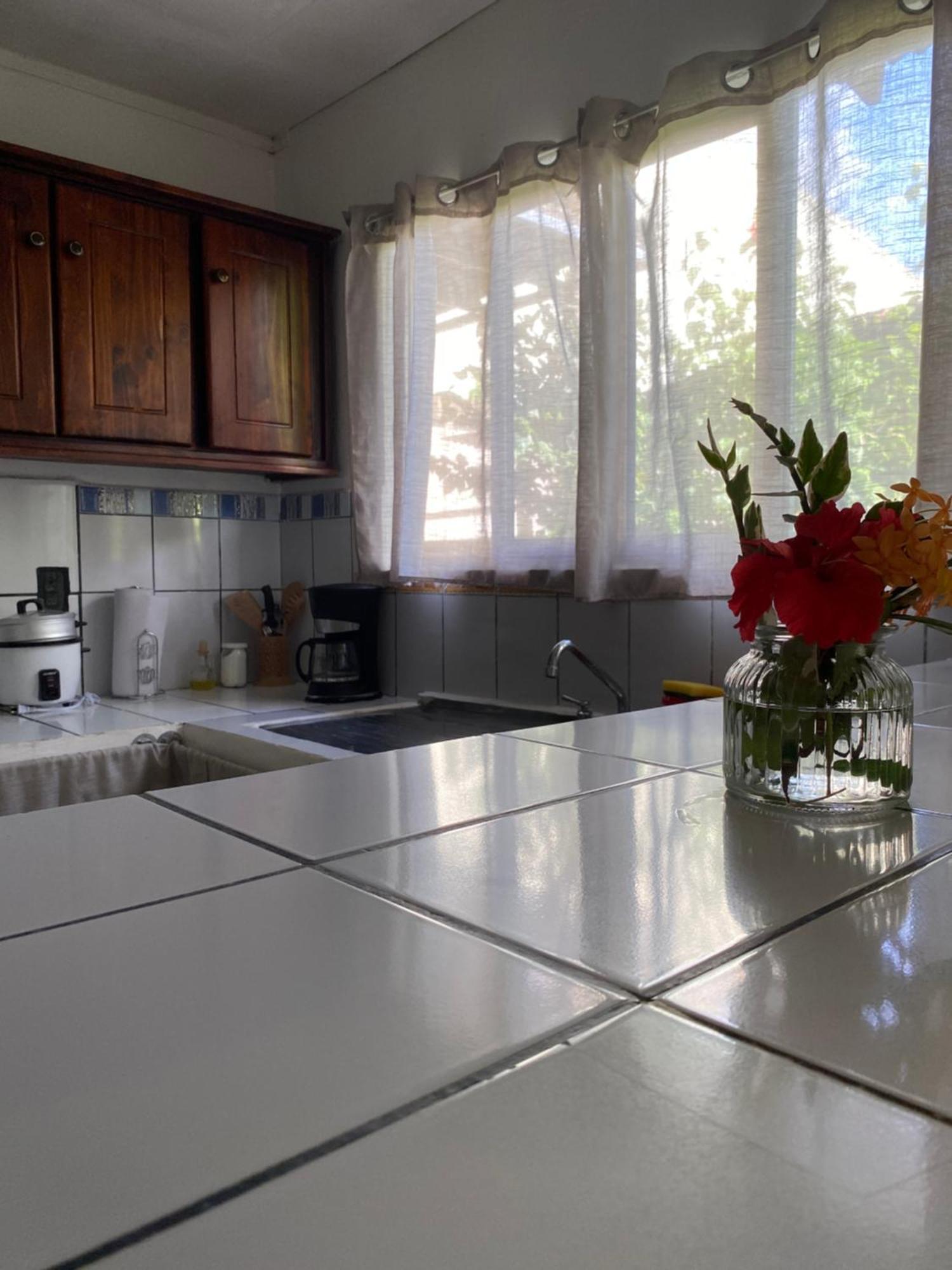 Anluka-House2 With Air Conditioning Puerto Jiménez エクステリア 写真
